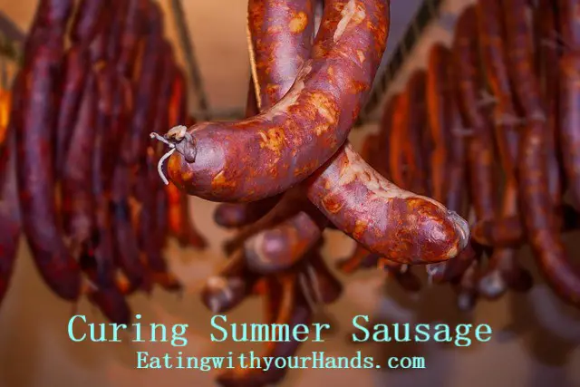 curing-summer-sausage