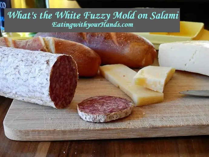 white-fuzzy-mold-on-salami