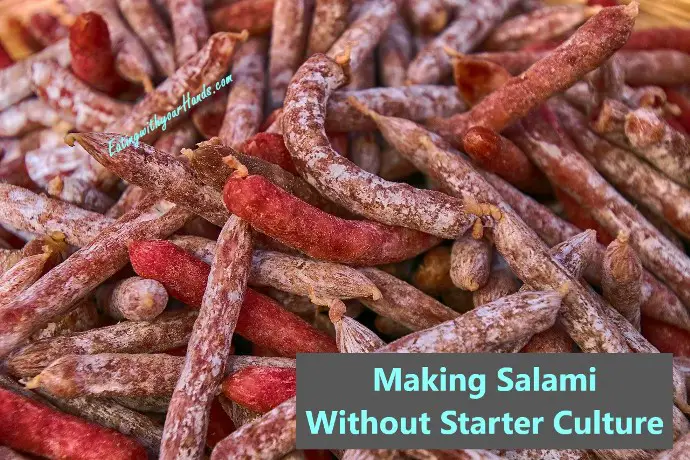 making-salami-without-starter-culture