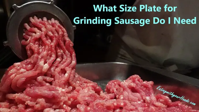 what-size-plate-for-grinding-sausage